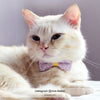 Bowtix Handmade Cat Collar With Removable Bowtie - Honey Wisteria - Kohepets