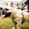 Pawbo iPuppyGo Smart Pet Activity Tracker Tag - Kohepets