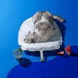 Furrytail Popsicle Cooling Mat For Cats & Dogs - Kohepets
