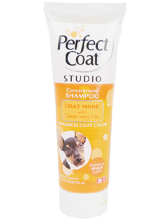 Perfect Coat Studio Shine Shampoo For Dogs 8oz - Kohepets