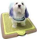 Yogi Pee Tray Toilet Small