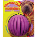 JW Tanzanian Mountain Ball Rubber Dog Toy Regular - Kohepets
