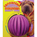 JW Tanzanian Mountain Ball Rubber Dog Toy Small - Kohepets