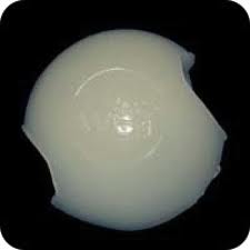 Wigzi Stuff-N-Throw Glow In The Dark Ball Small - Kohepets