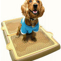 Yogi Pee Tray Toilet Large - Kohepets