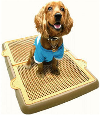 Yogi Pee Tray Toilet Large - Kohepets