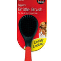 Mikki Nylon Bristle Brush Large - Kohepets