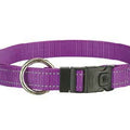 Rogz Utility Purple Dog Collar - Xl - Kohepets