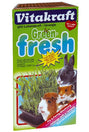 Vitakraft Green Fresh Pet Grass For Small Animals 120g