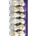 Dingo Select Rawhide Bone Minis 7ct - Kohepets