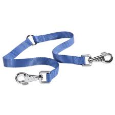 Ferplast Twin Double Nylon Dog Lead 20/38 - Blue - Kohepets