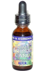 Azmira Yucca Intensive Anti-Inflammatory 2oz - Kohepets