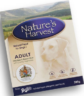 Nature's Harvest Chicken With Brown Rice Dog Tray Food 295g - Kohepets