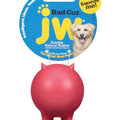 JW Bad Cuz Rubber Dog Toy Small - Kohepets