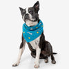 Insect Shield Ball & Squirrel Flea & Tick Bandana For Dogs (Teal) - Kohepets