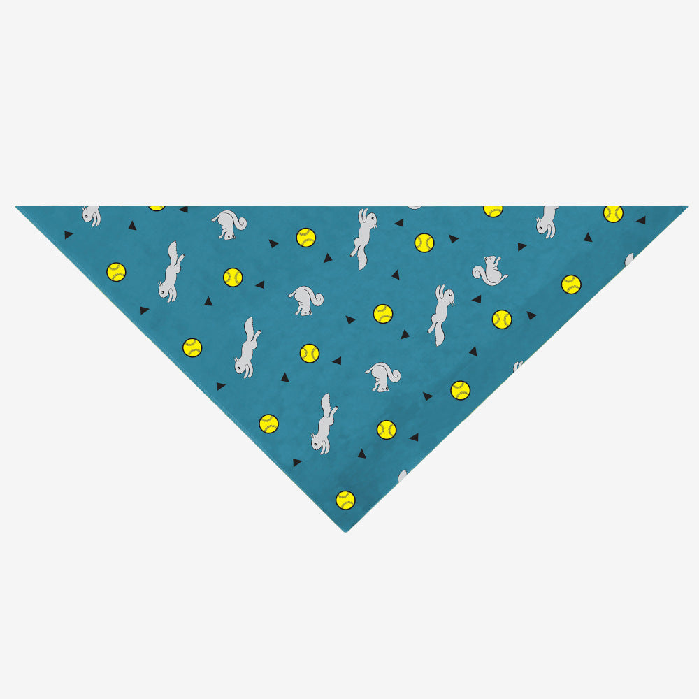 Insect Shield Ball & Squirrel Flea & Tick Bandana For Dogs (Teal) - Kohepets