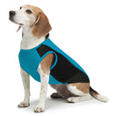 Insect Shield Flea & Tick Cooling Tank (Teal)