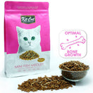 BUNDLE DEAL: Kit Cat Mini Fish Medley Cuisine Dry Cat Food