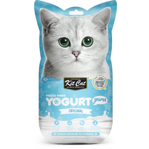 Greek Yogurt Can I Give My Cat Yogurt Probiotic Yogurt Can I Give