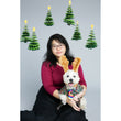 EXCLUSIVE: Kohepets Christmas Photoshoot Package - Kohepets