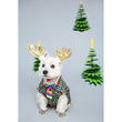 EXCLUSIVE: Kohepets Christmas Photoshoot Package - Kohepets