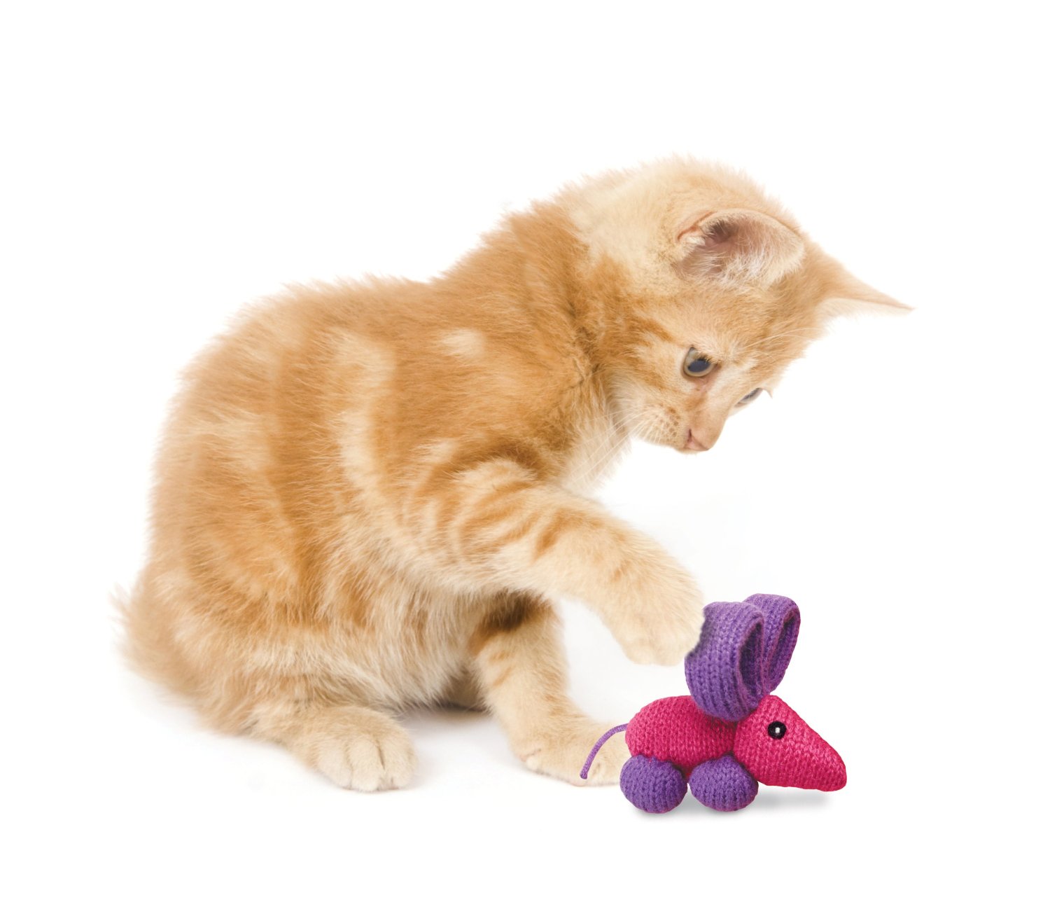 KONG Balloon Buddies Cat Toy - Kohepets