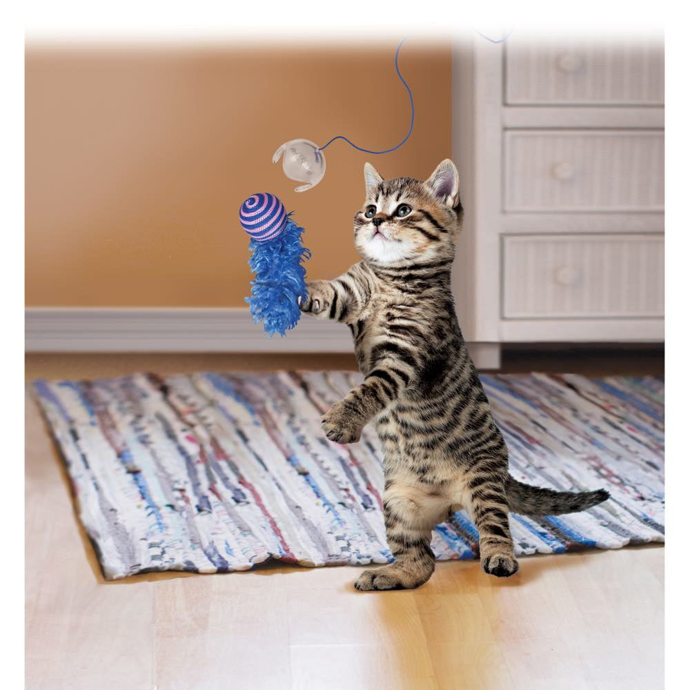 Kong Fishing Pole Teaser Cat Toy - Kohepets