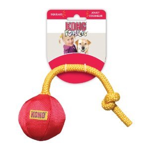 Kong Funsters Ball Dog Toy Extra Small - Kohepets