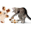 KONG Softies Fuzzy Bunny Cat Toy - Kohepets