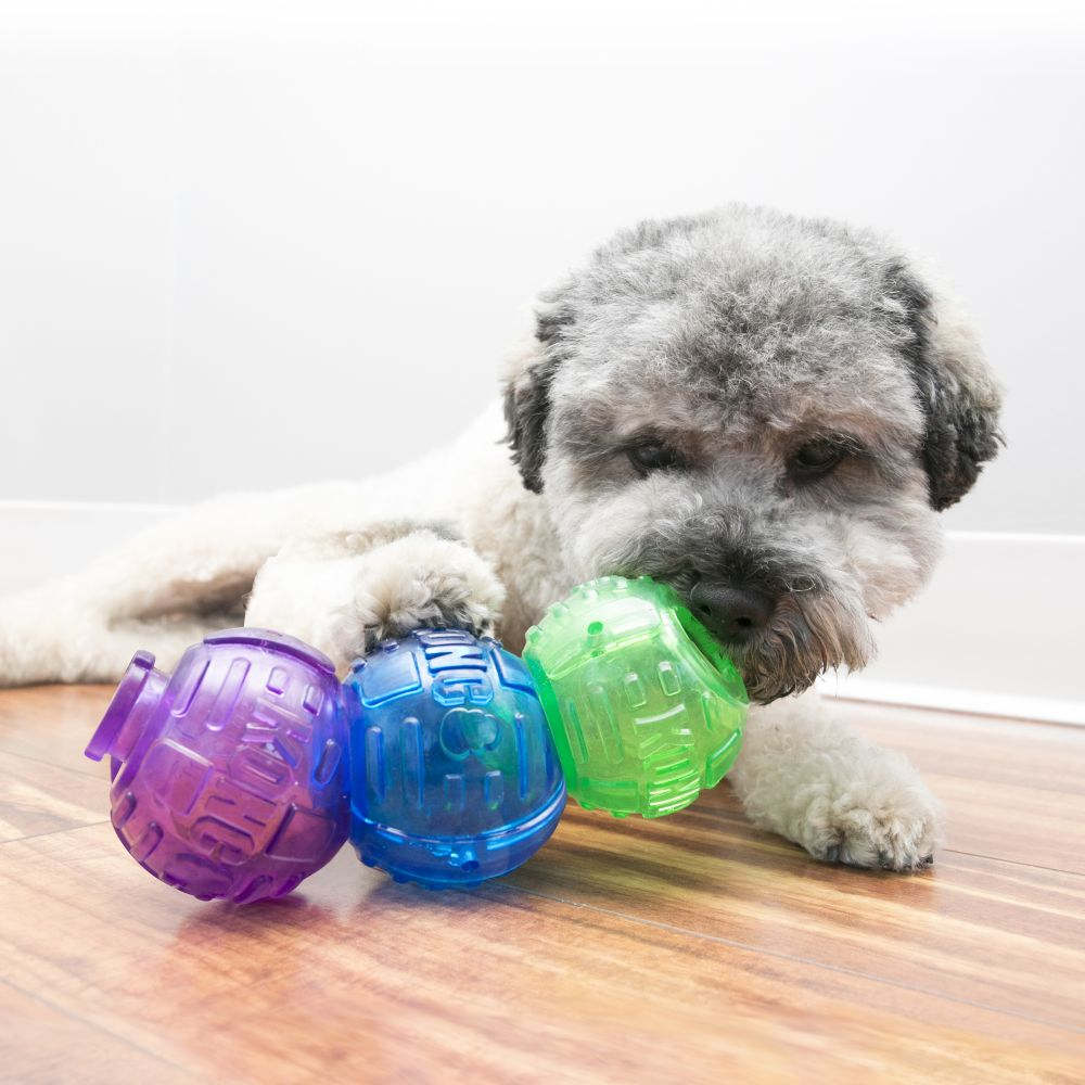 KONG Lock-It Interactive Dog Toy - Kohepets