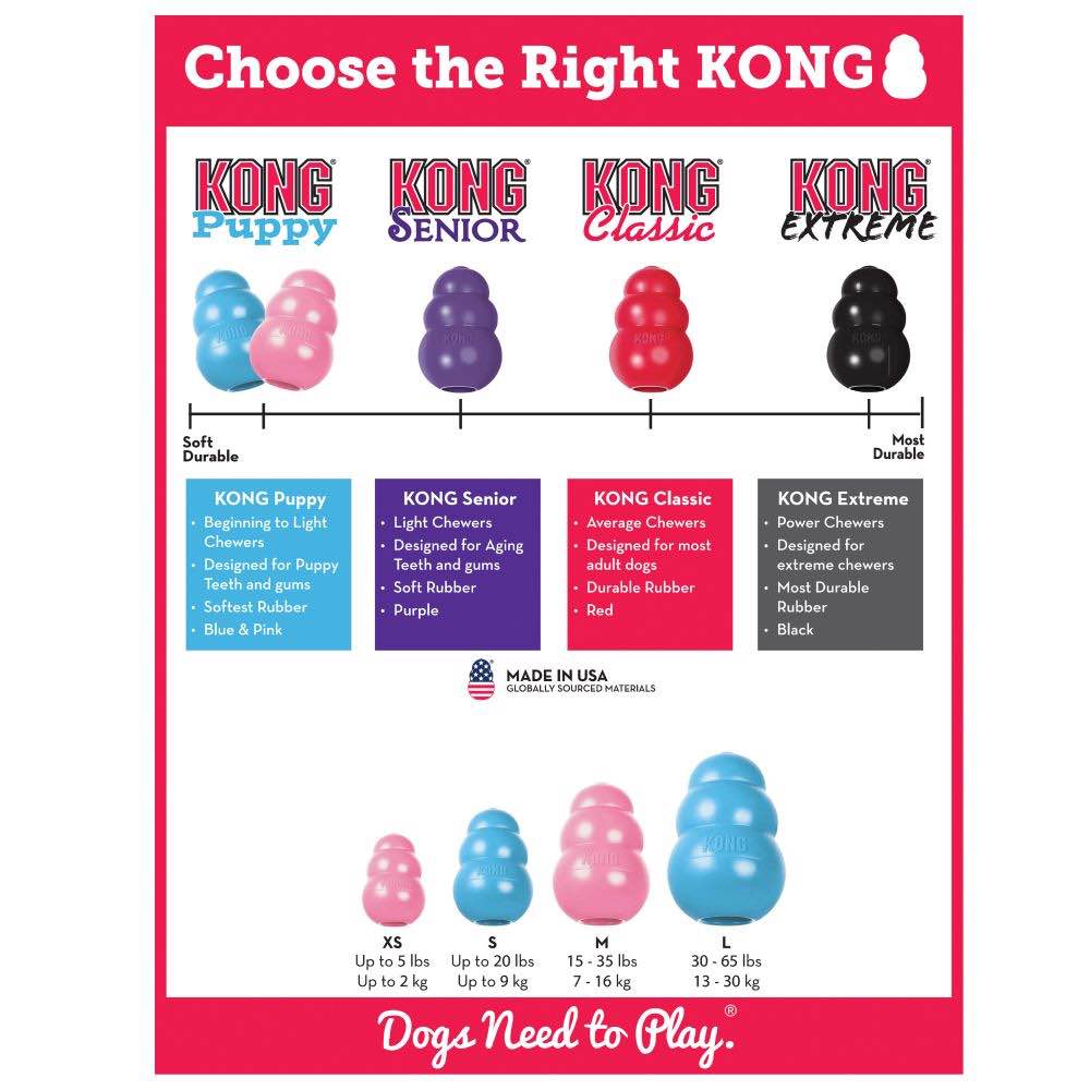 Kong Puppy Large - Kohepets