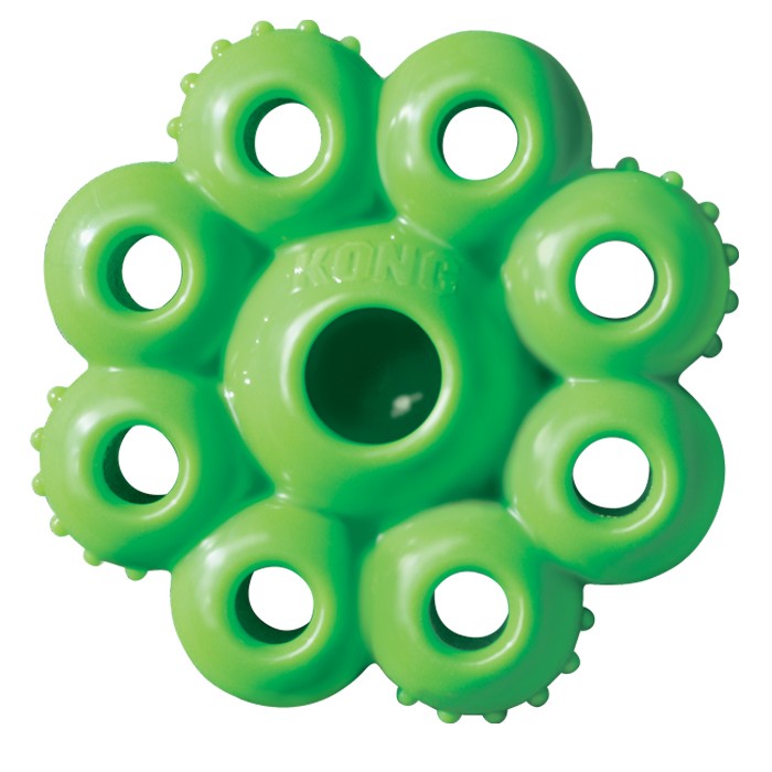 KONG Quest Starpod Treat Dispensing Dog Toy - Kohepets