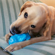 KONG Tuff 'N Lite Pig Dog Toy Large - Kohepets