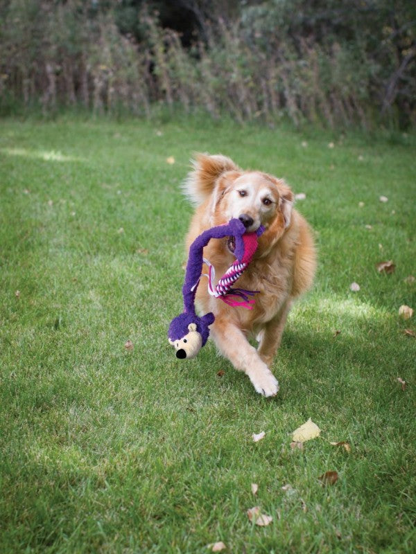 KONG Winders Tails Alligator Dog Toy Large - Kohepets