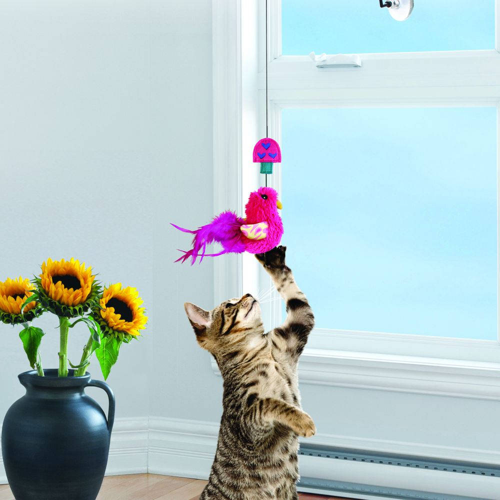 Kong Window Teaser Cat Toy - Kohepets