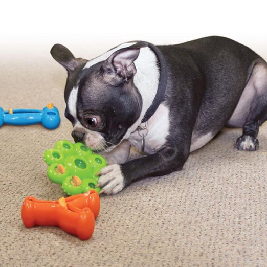 Kong Quest Bone Treat Dispensing Dog Toy Large - Kohepets
