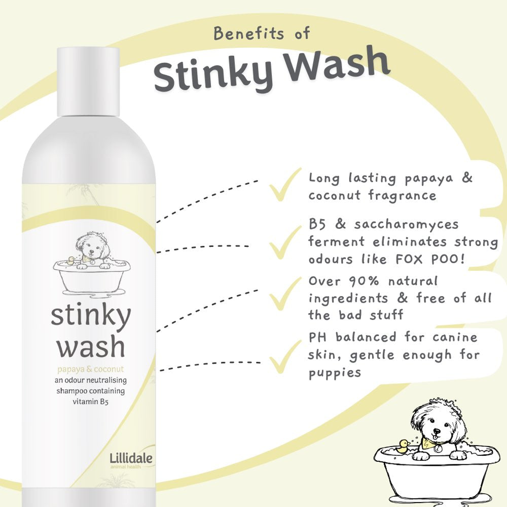 KOHE-VERSARY 10% OFF: Lillidale Stinky Wash Dog Shampoo (Papaya & Coconut) 250ml