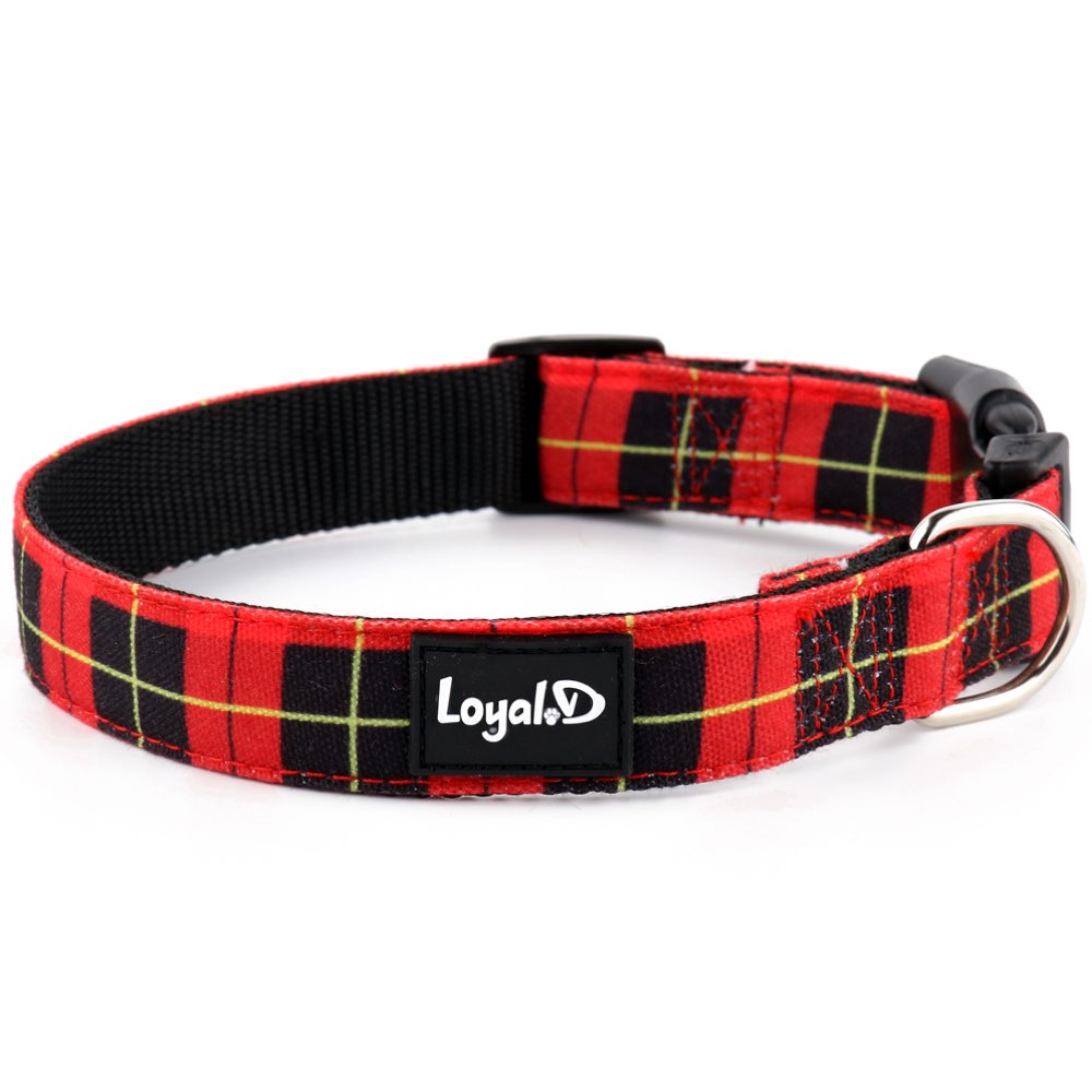 Loyal.D Cotton Canvas Dog Collar - Royal.D - Kohepets