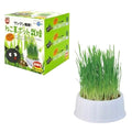 Marukan Cat Grass Pot 3ct - Kohepets