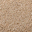 Marukan Clean Sand Non-Hardening Toilet Sand For Hamsters 350g