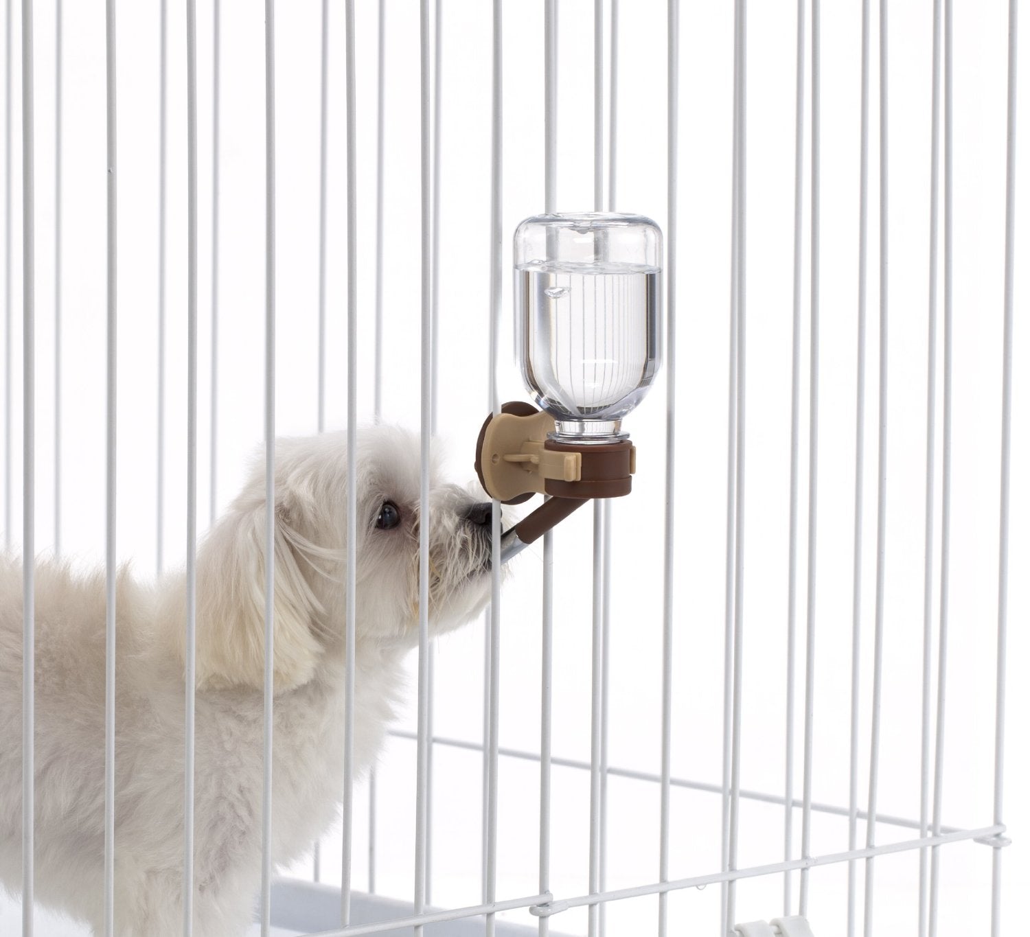 Marukan Ecology Brown Bottle 200ml - Kohepets