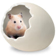 Marukan Egg Shape House For Hamsters (M)