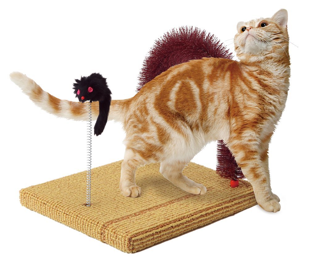 Marukan Massage Brush Cat Scratcher - Kohepets