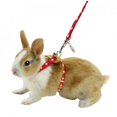 Marukan Harness For Rabbits - Kohepets