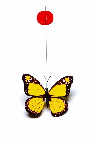 Marukan Spinning Butterfly Cat Toy - Kohepets