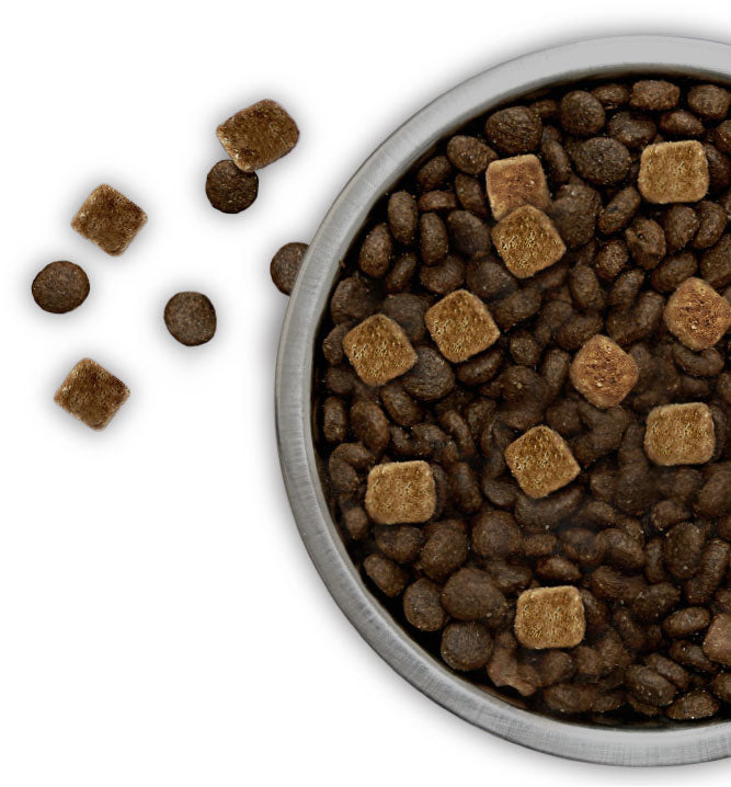 Merrick Backcountry Raw Infused Game Bird Recipe Grain Free Dry Dog Food - Kohepets