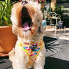 Moo+Twig Beach Bums Step-In Dog Harness - Kohepets