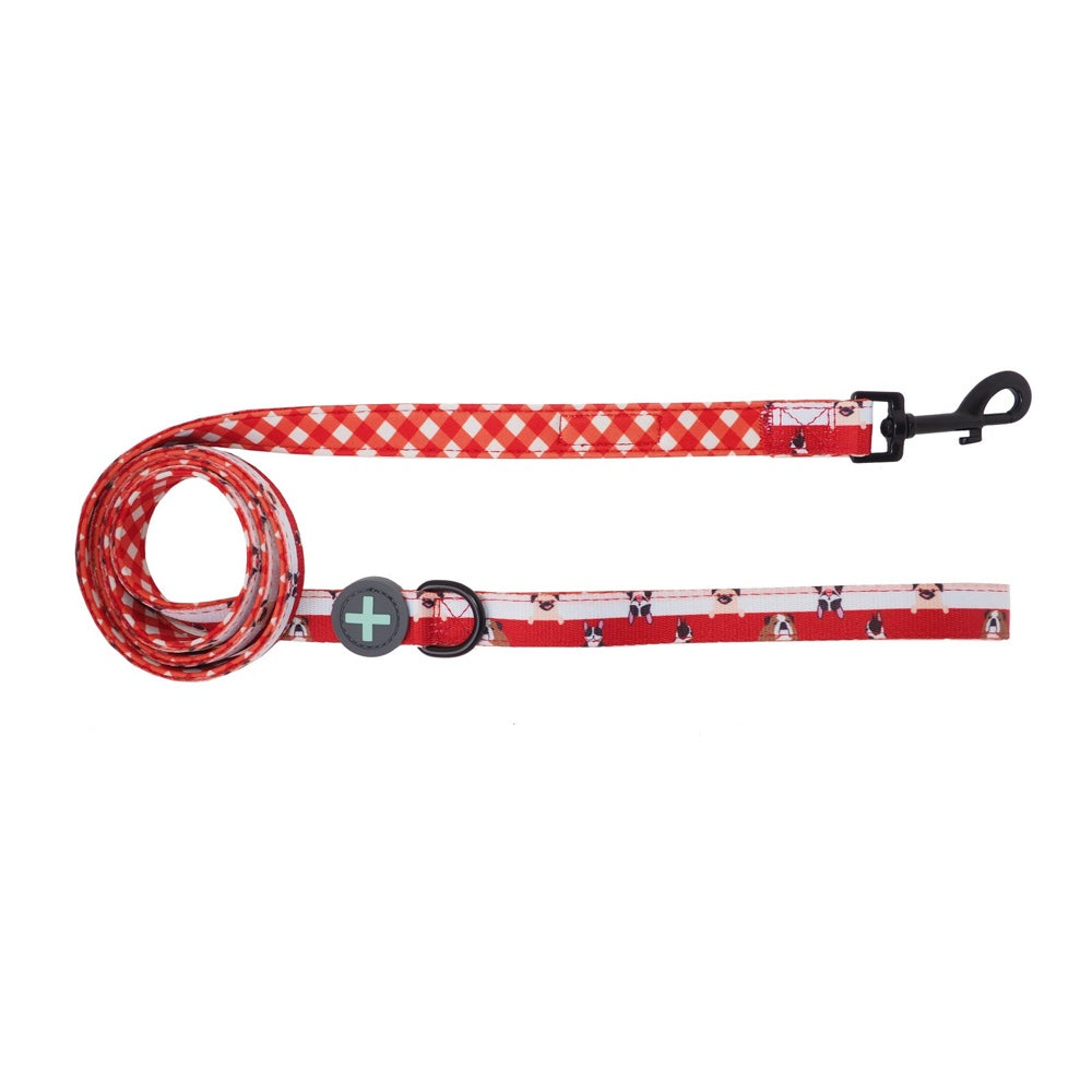 Moo+Twig Peek A Crew Two-Faced Neoprene Handle Dog Leash - Kohepets