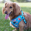 Moo+Twig Pool Pawty Step-In Dog Harness - Kohepets