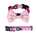 Moo+Twig Sweet Treat Removable Dog Collar and Bowtie - Kohepets